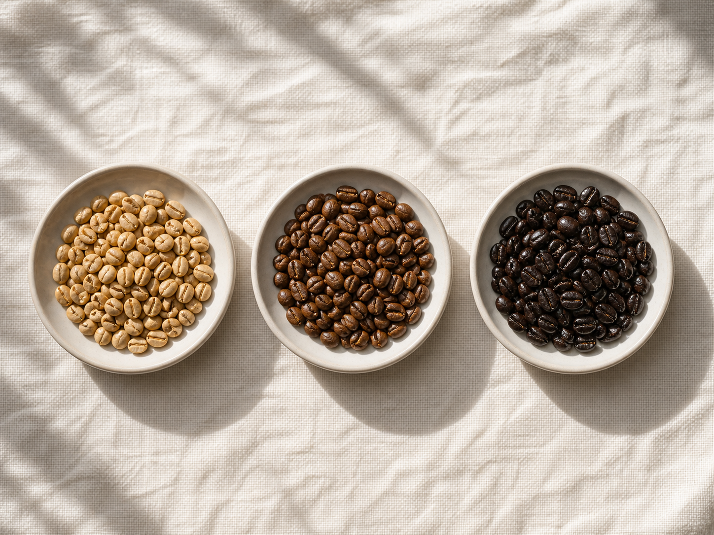 Light vs medium vs dark roast