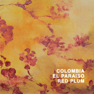 Colombia El Paraiso Red Plum