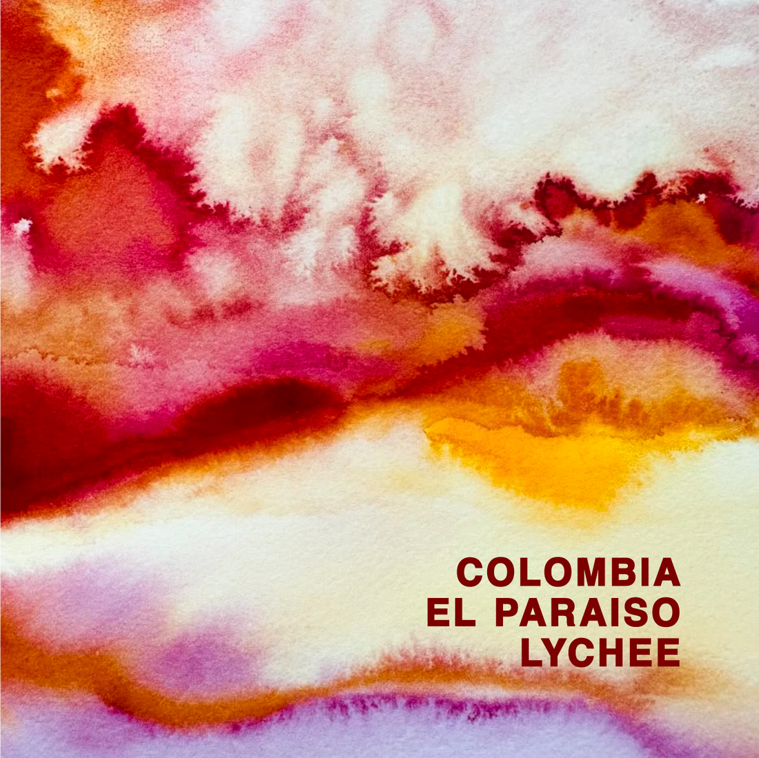 Colombia El Paraiso Lychee