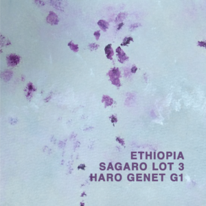 Ethiopia Sagara Haro Genet Lot 3