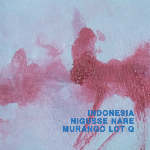 Ethiopia Niguesse Nare G1 Murango Lot Q