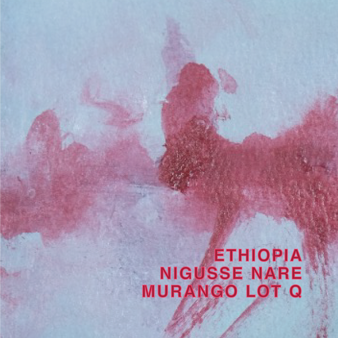 Ethiopia Niguesse Nare G1 Murango Lot Q