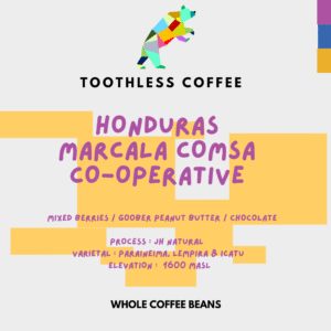 Honduras Marcala Comsa (JH Natural)