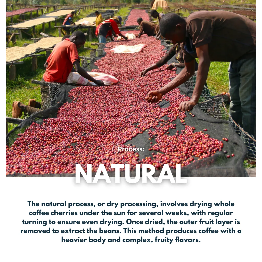 Rwanda Western Province Rutriso