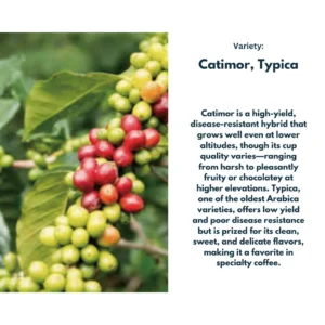 China Yun Nan Lan Chang Tian Hao