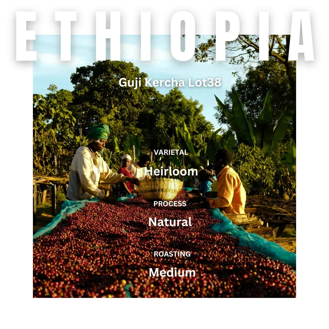 Ethiopia Guji x China Yunan - 13th Anniversary Special Roast