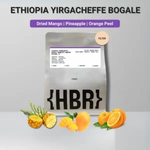 Ethiopia Yirgacheffe Bogale Mengistu Wadera Natural G1