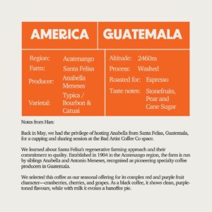 SOE - Guatemala Santa Felisa Blue Diamond SHB (Espresso)