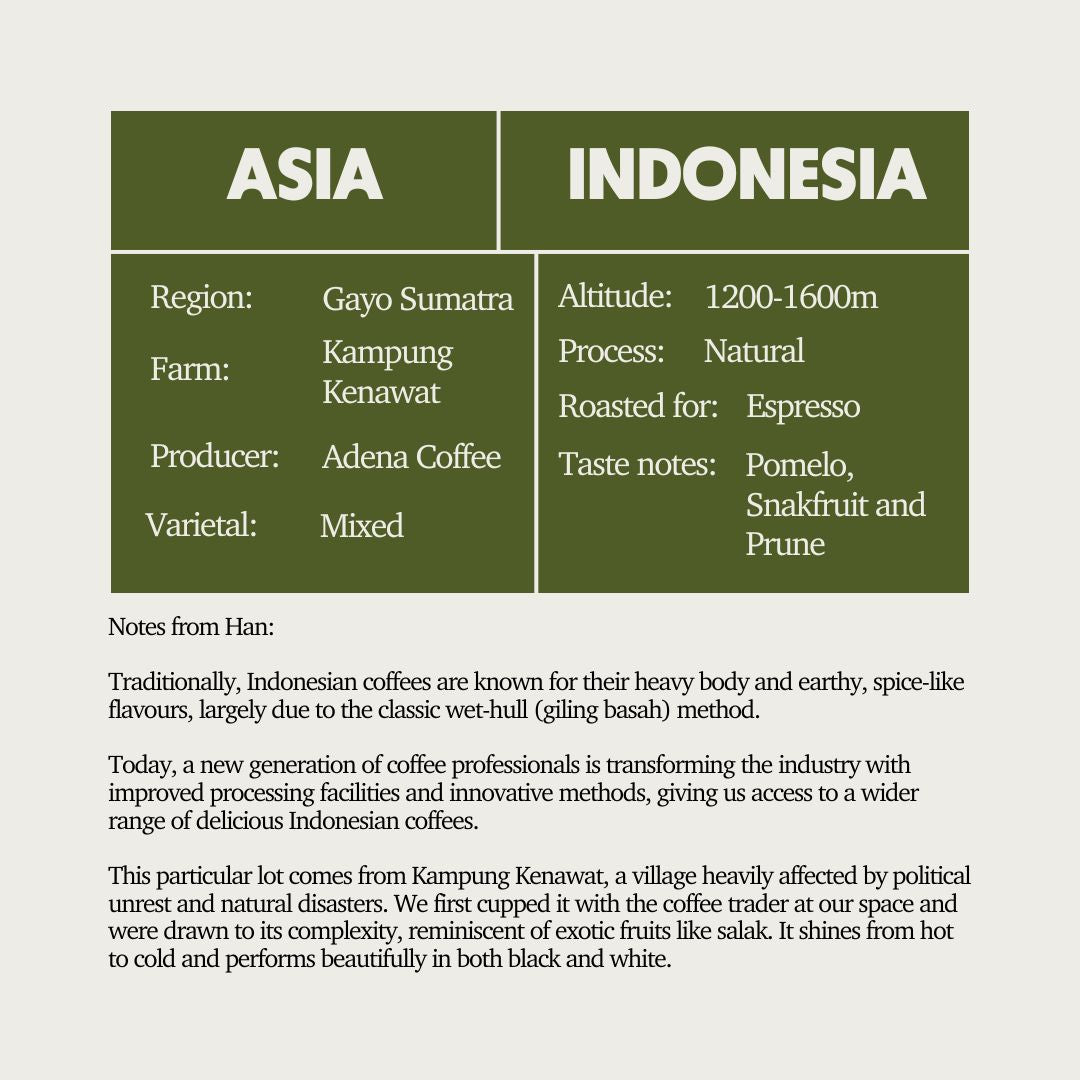 SOE - Indonesia Gayo Arkhan Sumatra Kampung Kenawat (Espresso)