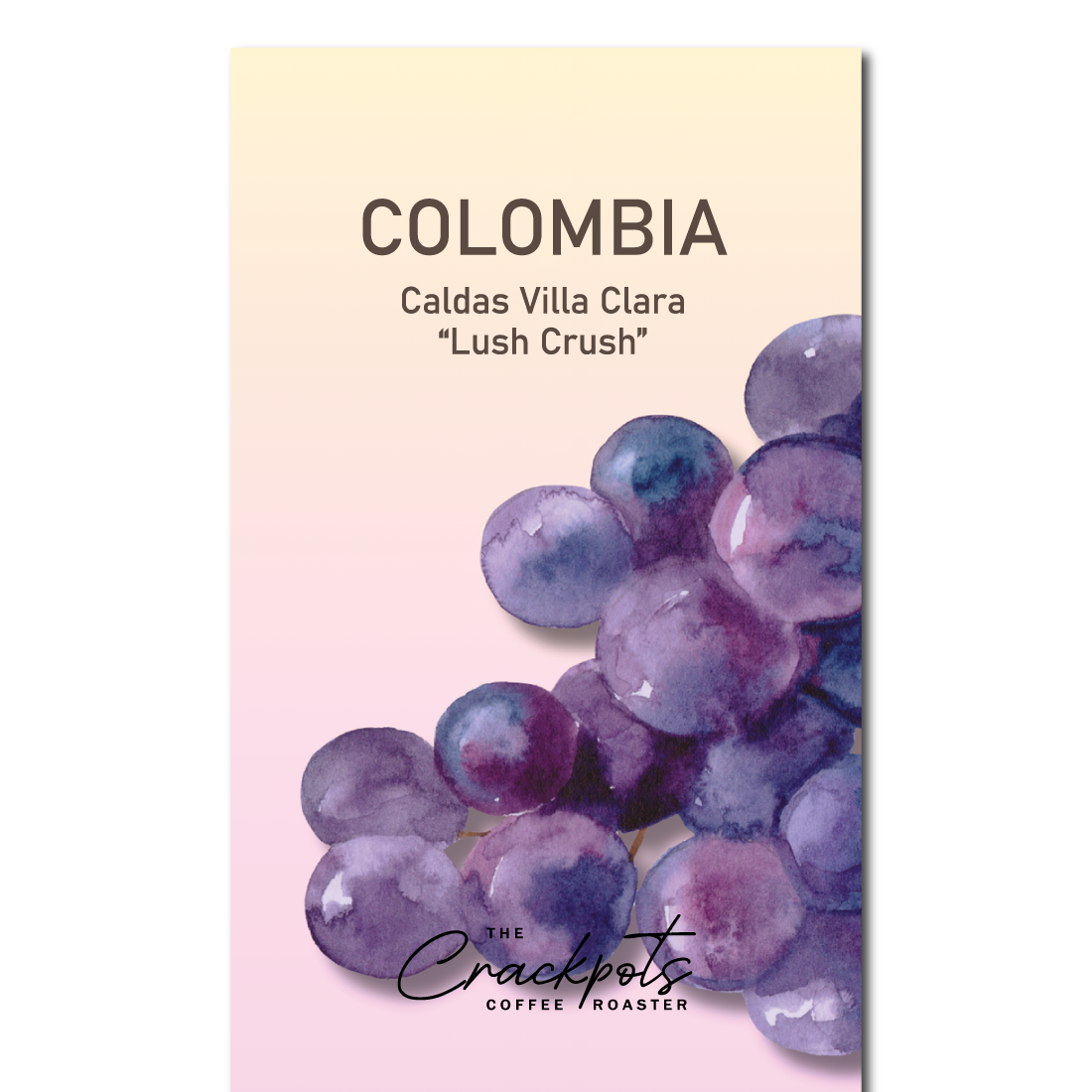 Colombia Villa Clara Lush Crush Grape Washed