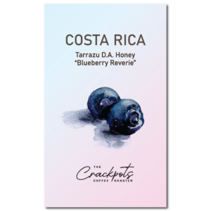 Costa Rica Tarrazu D.A. Honey "Blueberry Reverie"