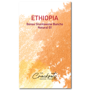 Ethiopia Sidama Bensa Shantawene Buncho Natural G1