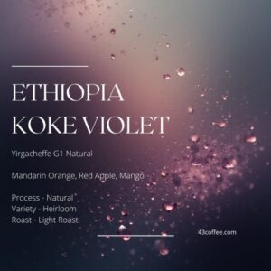 (NEW) Ethiopia Koke Violet