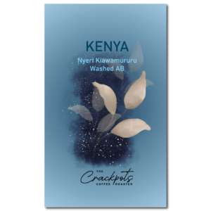 Kenya Nyeri Kiawamururu Washed AB