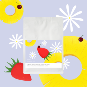 Kenya Ndiani AA [Washed]