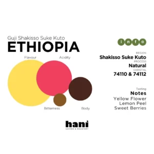 Ethiopia Guji Shakisso