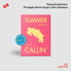 Costa Rica Hacienda Copey Don Kazu #35 (Espresso)