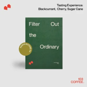 Kenya Kutere AA (Filter)