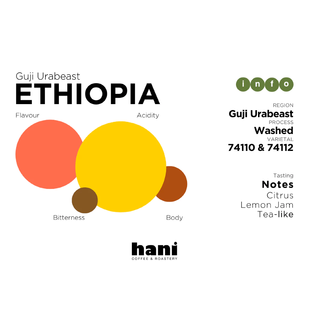 Ethiopia Guji Urabeast